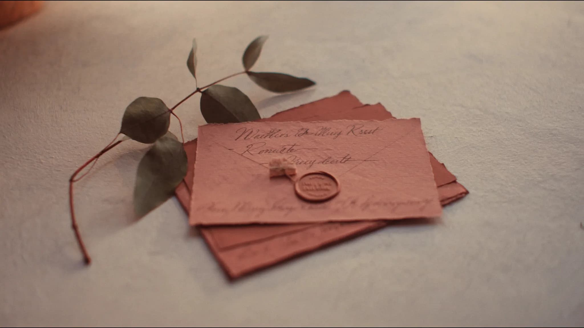 Blush wedding RSVP envelopes with a wax seal and a eucalyptus sprig