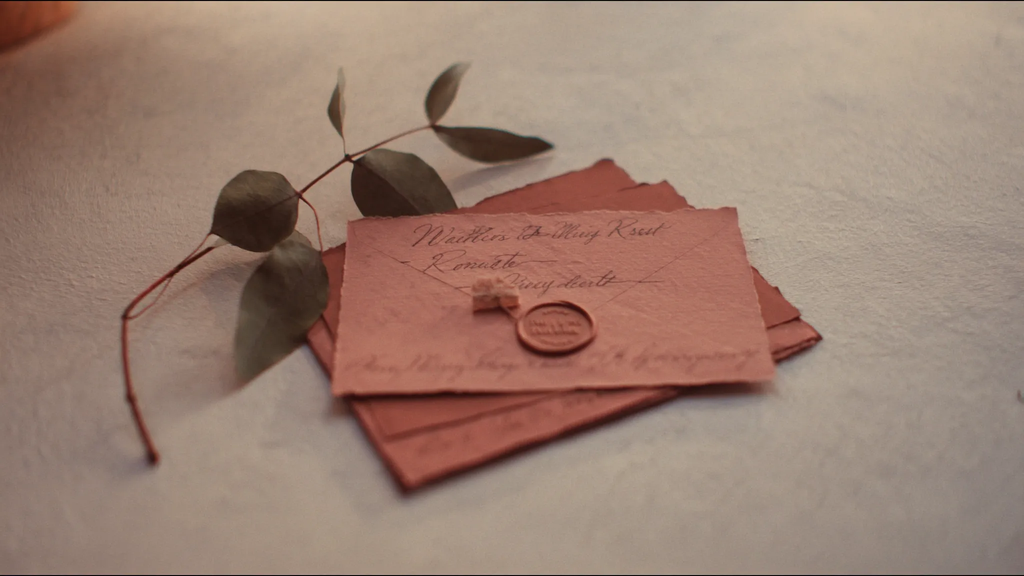 Blush wedding RSVP envelopes with a wax seal and a eucalyptus sprig